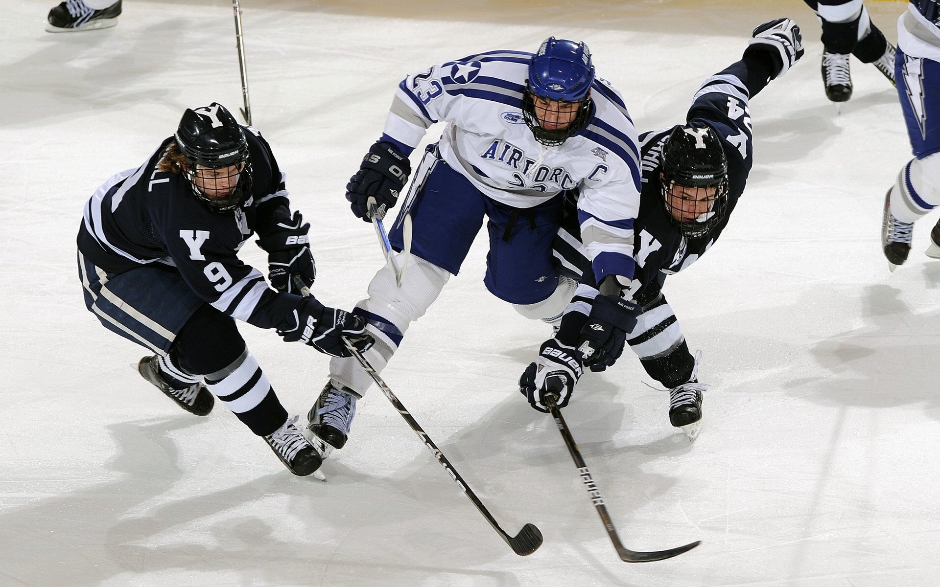 墨西哥马术协会与欧洲马术协会签署合作协议,共同举办国际赛事。