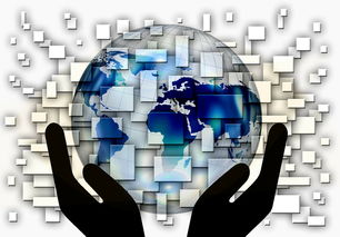 九游官网pc-国家滑板协会公布全国青少年排名更新机制，国家滑板队训练中心