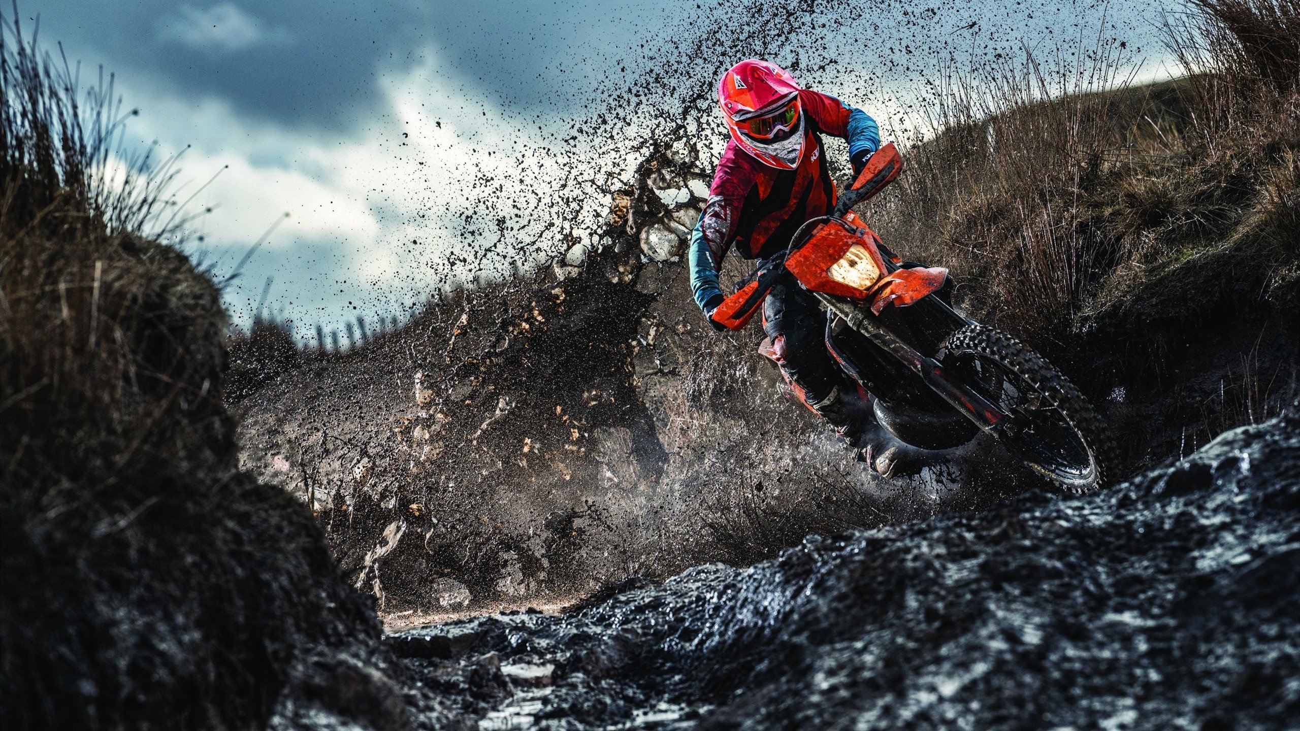 运动员退役后职业发展路径多元化探索，运动员退役后的生活现状